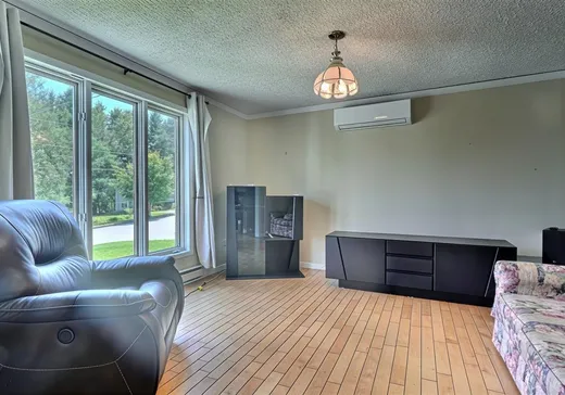 House for sale - 101 Rue Bibeau, St-Francois-Xavier-de-Brompton, J0B 2V0