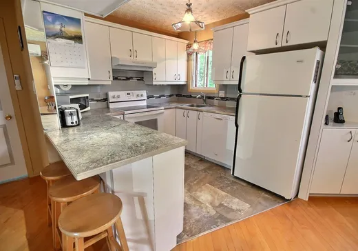 Maison à vendre - 745 Rue Labbé, St-Ferdinand, G0N 1N0