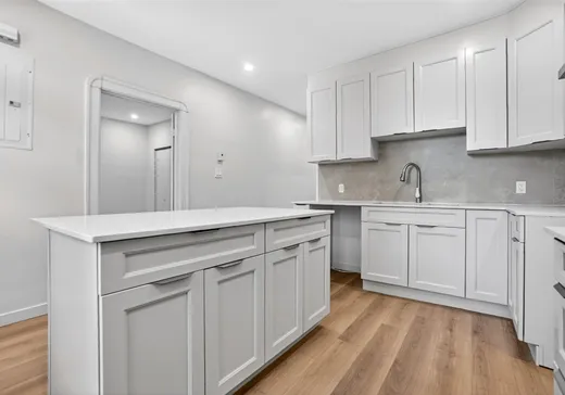 Condo à vendre - 5212 Rue Fabre, Montréal (Plateau-Mont-Royal), H2J 3W5