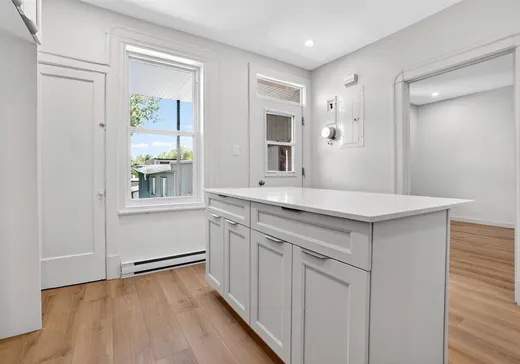 Condo à vendre - 5212 Rue Fabre, Montréal (Plateau-Mont-Royal), H2J 3W5