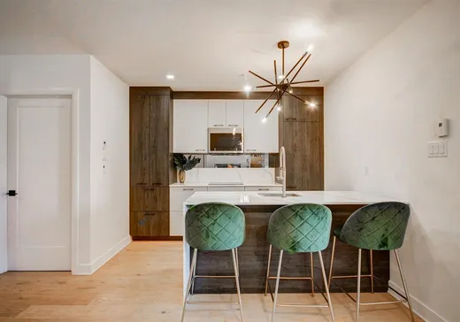 Condo à vendre - 1575 Rue Gareau, App. 413, Montréal (Centreville), H2L 0H9