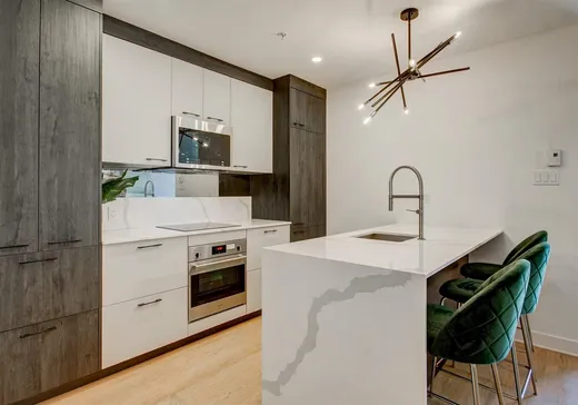 Condo à vendre - 1575 Rue Gareau, App. 413, Montréal (Centreville), H2L 0H9
