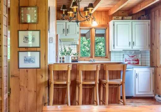 House for sale - 100 Ch. du Tour-du-Lac, Mont-Tremblant, J8E 2A8