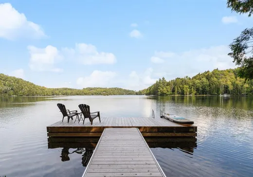 Maison à vendre - 3254 Ch. des Franciscains, Mont-Tremblant, J8E 3M6