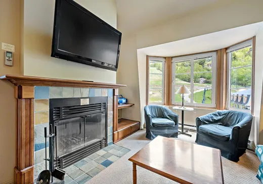 Condo à vendre - 118 Ch. de Kandahar, App. 331, Mont-Tremblant, J8E 1E2
