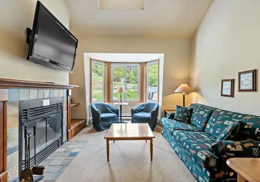 Condo à vendre - 118 Ch. de Kandahar, App. 331, Mont-Tremblant, J8E 1E2