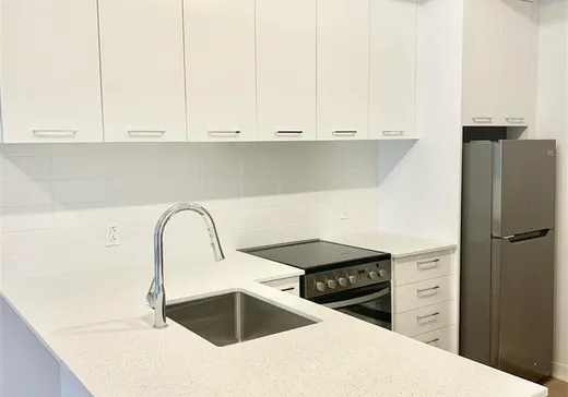 Condo à vendre - 1485 Rue des Bassins, App. 329B, Montréal (Centreville), H3C 1B7