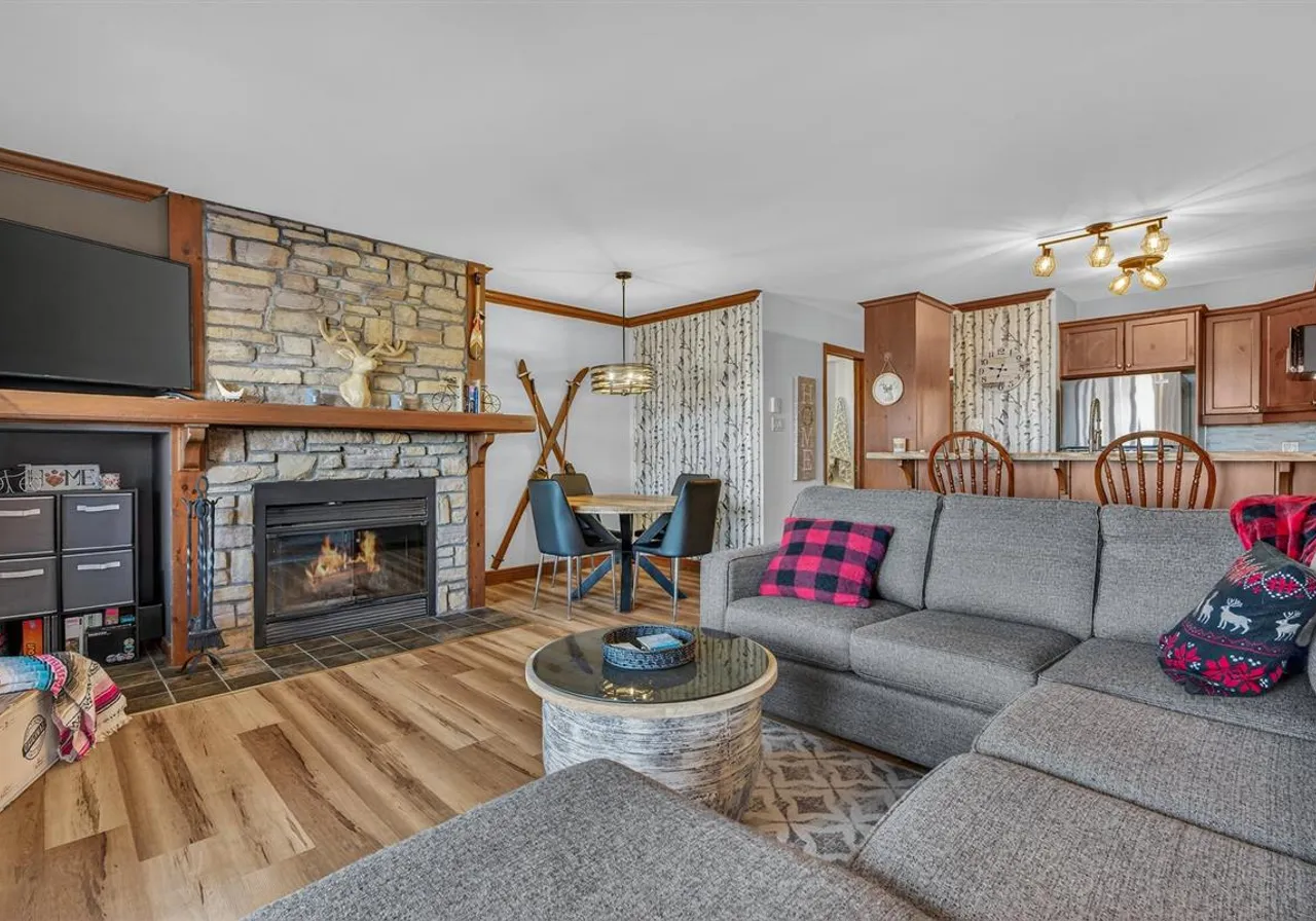 166 Rue du Mont-Plaisant, App. 6 — photo 1