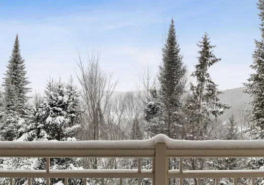 Condo for sale - 175 Rue du Mont-Plaisant, App. 7, Mont-Tremblant, J8E 1L2