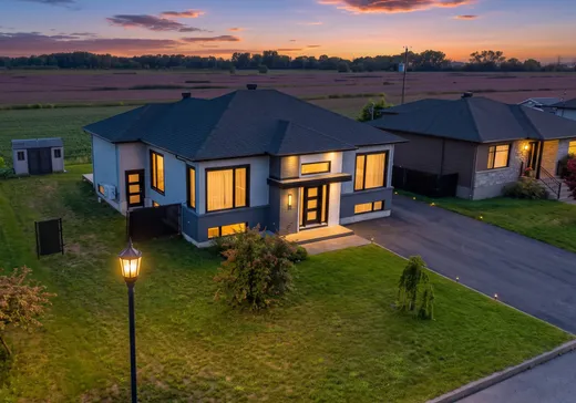 Maison à vendre - 361 Av. Jean-Lechasseur, Louiseville, J5V 0B3
