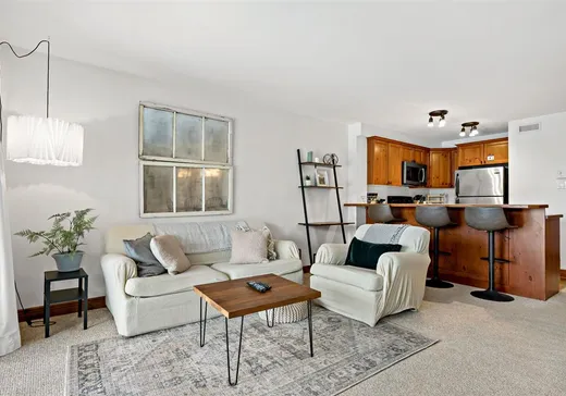 Condo à vendre - 205 Rue du Mont-Plaisant, App. 3, Mont-Tremblant, J8E 1L2