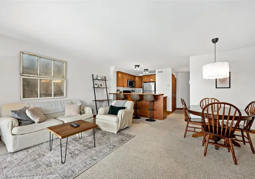 Condo à vendre - 205 Rue du Mont-Plaisant, App. 3, Mont-Tremblant, J8E 1L2