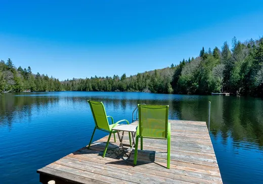 Maison à vendre - 283 Ch. de la Presqu'île, Mont-Blanc, J0T 2G0