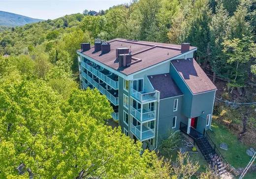 Condo à vendre - 136 Rue du Mont-Plaisant, App. 207, Mont-Tremblant, J8E1L2