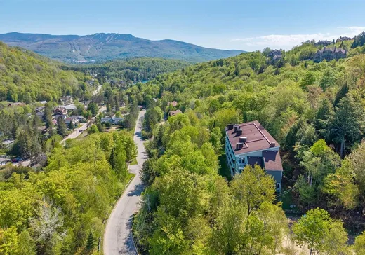 Condo à vendre - 136 Rue du Mont-Plaisant, App. 207, Mont-Tremblant, J8E 1L2