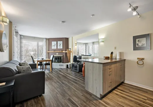 Condo à vendre - 136 Rue du Mont-Plaisant, App. 207, Mont-Tremblant, J8E 1L2