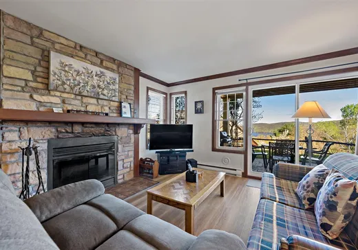 Condo à vendre - 166 Rue du Mont-Plaisant, App. 1, Mont-Tremblant, J8E 1L2