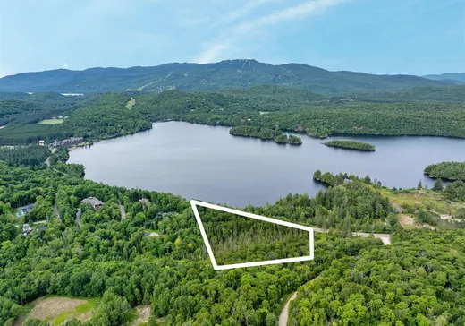 Maison à vendre - 2335 Rue Labelle, Mont-Tremblant, J8E 1T8