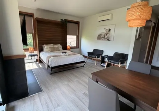 Condo à vendre - 2192 Ch. du Lac-Supérieur, App. 2101, Mont-Tremblant, J0T 1P0