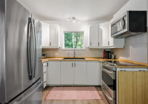 House for sale - 1345 Rue St-Roch, Mont-Tremblant, J8E 2Y9