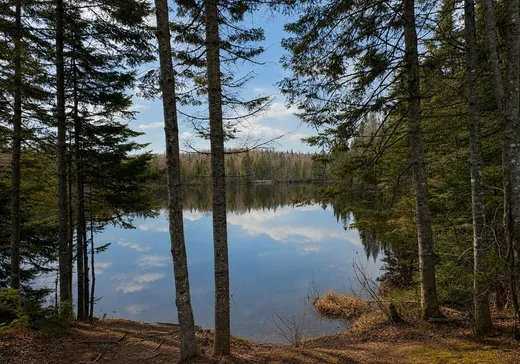 Maison à vendre - 1713 Ch. du Lac-Amico, Ste-Lucie, J0T 2J0