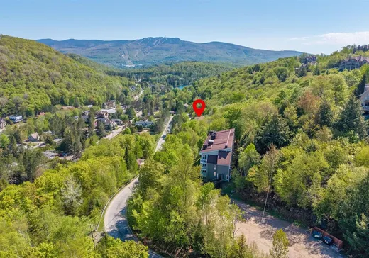 Condo à vendre - 120 Rue du Mont-Plaisant, App. 103-104, Mont-Tremblant, J8E1L2