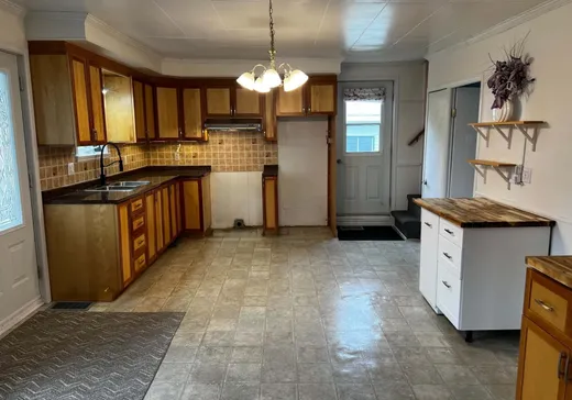 House for sale - 380 Rue Principale, Saint-Cyprien-Des-Etchemins, G0R 1B0