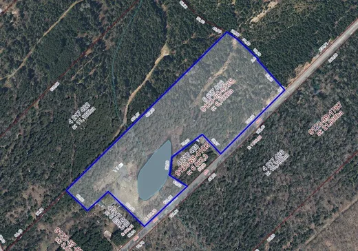 Maison à vendre - 367 Route Rivet, Notre-Dame-des-Pins, G0M 1K0