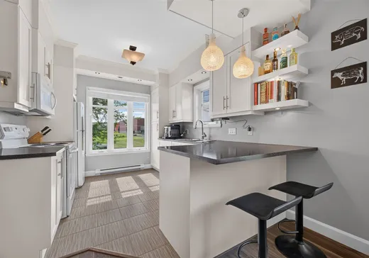 Condo for sale - 1110 Av. Antoine-É.-Brunelle, Plessisville, G6L 5R1