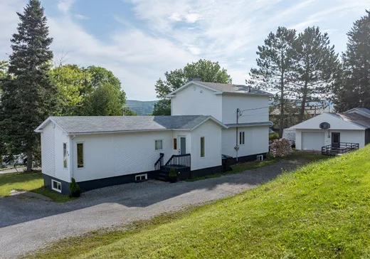 Maison à étages à vendre - 29 Rue Viel, Témiscouata-sur-le-Lac, G0L1X0