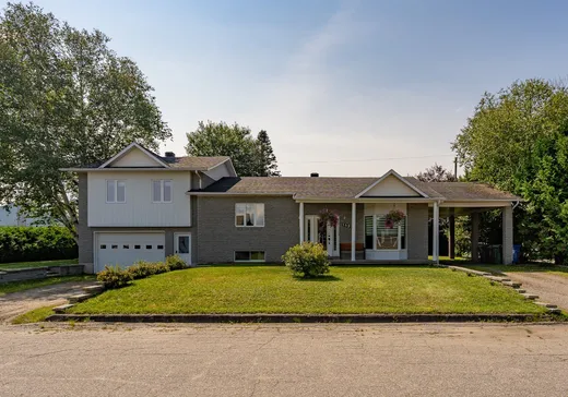 Maison à vendre - 153 7e Rue, Ferme-neuve, J0W 1C0