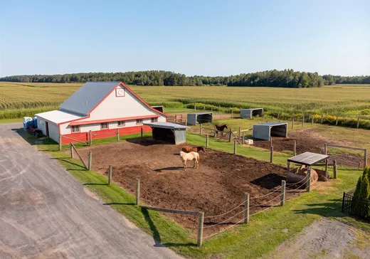 Fermette à vendre - 1435 Route 122, St-Germain-De-Grantham, J0C 1K0