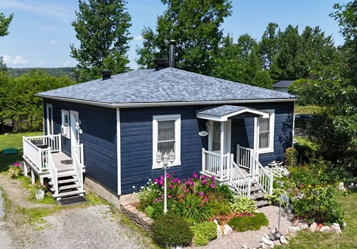 Maison à vendre - 133 Route 216, Sherbrooke, J0B 3G0