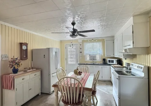 Maison à vendre - 133 Route 216, Sherbrooke, J0B 3G0