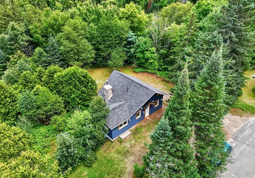 Un étage et demi à vendre - 31 Ch. du Domaine-Roger, Lac Superieur, J0T1J0
