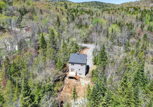 Maison à vendre - 4470 Rue de la Grande-Promenade, Sainte-Adèle, J8B 3H8