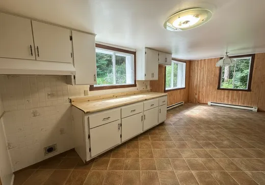 House for sale - 100 Ch. Martin, Saint-Calixte, J0K 1Z0