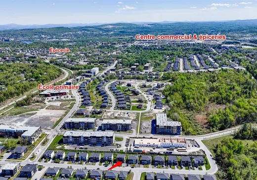 Maison à vendre - 3514 Rue Nina-Owens, Sherbrooke, J1L 0J5