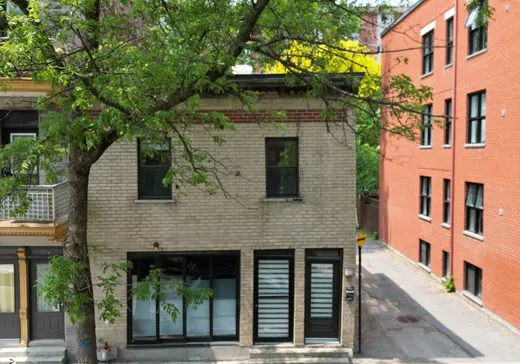 Maison à étages à vendre - 917 Av. Duluth E. (917-919), Montréal (Plateau-Mont-Royal), H2L1B7