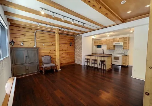 Maison à vendre - 917 Av. Duluth E. (917-919), Montréal (Plateau-Mont-Royal), H2L 1B7