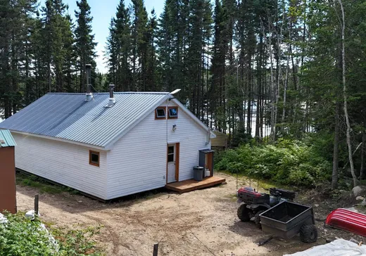 Maison à vendre - 48 Lac Lepage, La Tuque, G9X 0A7