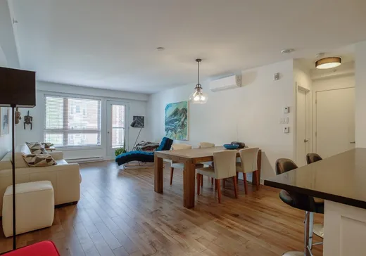 Condo à vendre - 1850 Rue Atateken, App. 203, Montréal (Centreville), H2L 3L6
