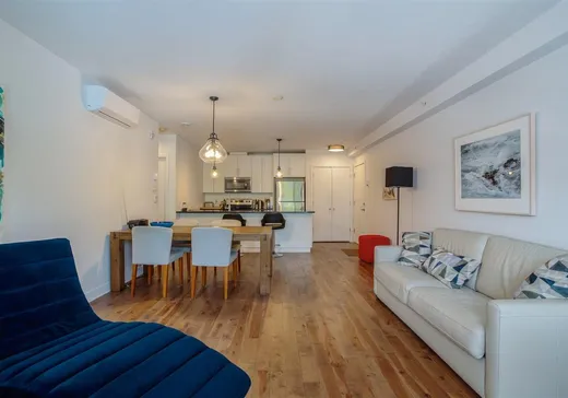 Condo à vendre - 1850 Rue Atateken, App. 203, Montréal (Centreville), H2L 3L6