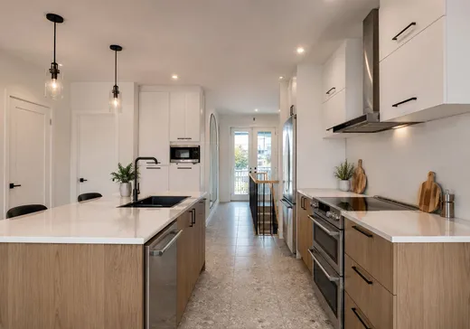 Maison à vendre - 480 Rue du Moulin, Saint-Marc-des-Carrières, G0A 4B0