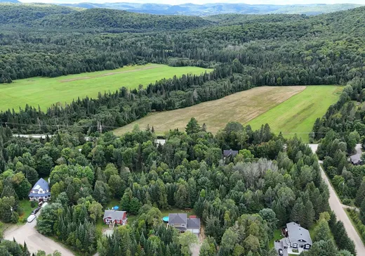Maison à vendre - 168 Ch. des Mésanges, Mont-Tremblant, J8E 2C9