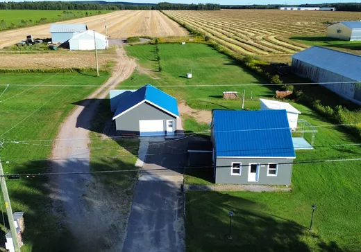 Bungalow à vendre - 699 Rg St-Jacques, St-Leonard-De-Portneuf, G0A4A0