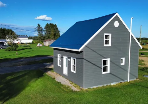 Maison à vendre - 699 Rg St-Jacques, St-Leonard-De-Portneuf, G0A 4A0