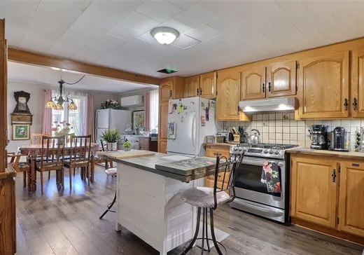House for sale - 1701 Route Marie-Victorin, Deschaillons, G0S 1G0