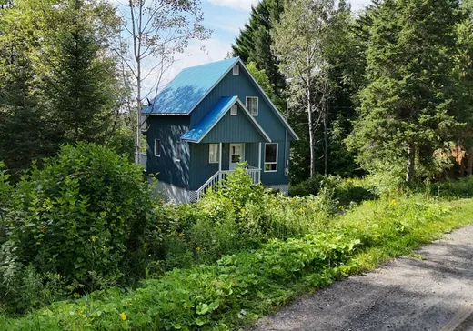Un étage et demi à vendre - 31 Rg Lisée, Weedon, J0B3J0