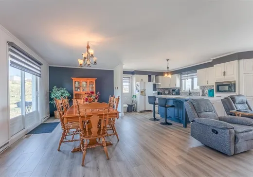 House for sale - 238 Rue Caron, Saints-Martyrs-Canadiens, G0P 1A0